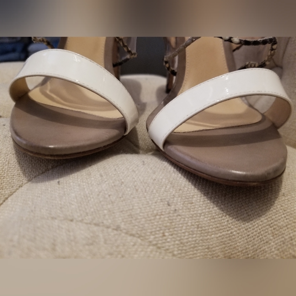 Alexandre Birman Python Mule Slide - image 8